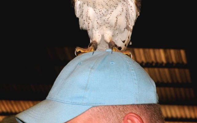 Gansbaai Cape Floral Kingdom Ekspo 2